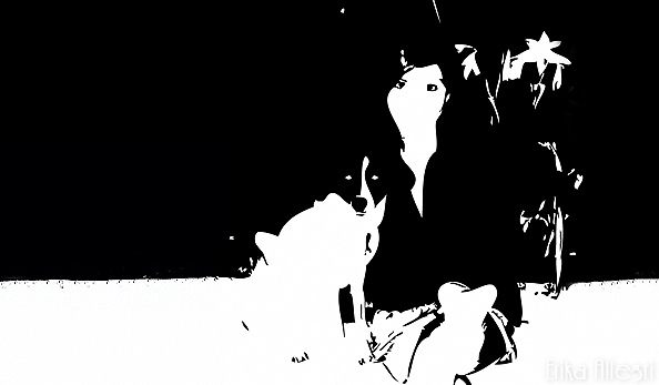 5323377065_bdc47f5d9a_z