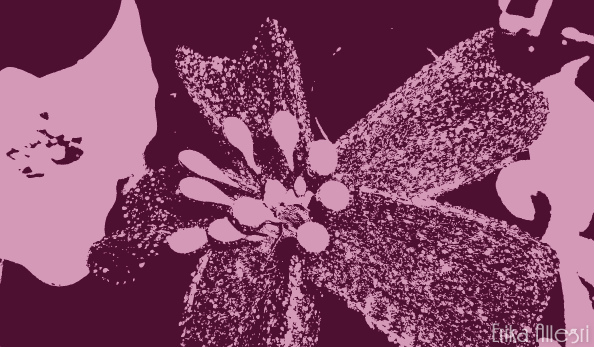 5564699549_02b54e1b3d_z
