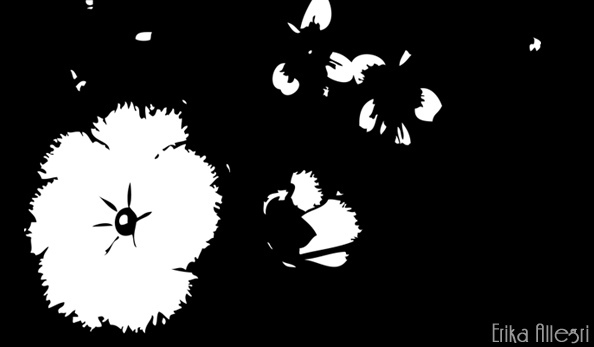 7462410188_da64475043_z