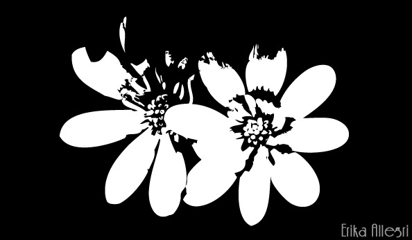 7462485878_dbc9f48483_z